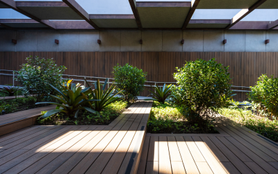 Biophilic Design: Integrating Plants into Modern Office Architecture