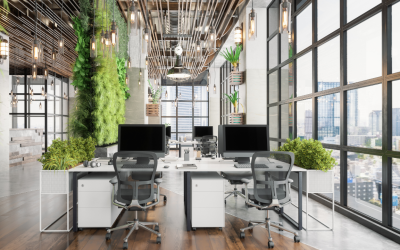 Low-Maintenance Indoor Plants for Busy Offices