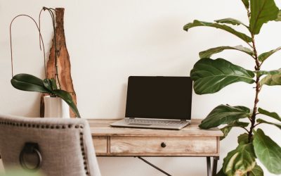 Wellness at Work: Importance of Office Plant Design