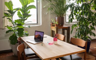 Inspiring Office Interiors: Plant Design Ideas for Modern Workplaces