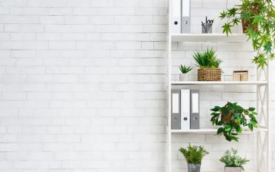 Transformative Office Plant Design: Benefits and Best Practices