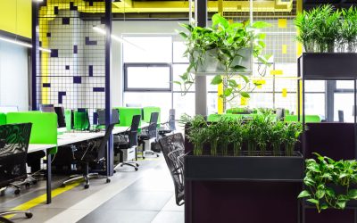 How To Create A Plant-Friendly Office Environment: Tips And Tricks