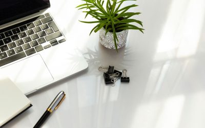 Step-by-Step Guide to Successful Office Plant Design Implementation