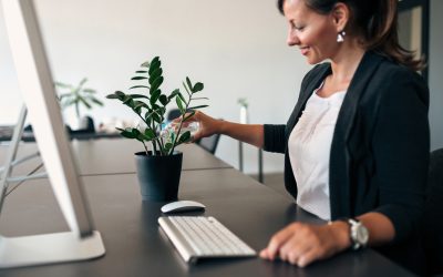 A Guide to Caring for Office Plants: Tips and Tricks