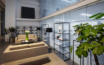 Cultivating Creativity: Office Plant Design For Dynamic Workspaces