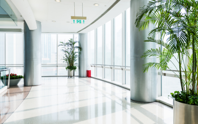 The Benefits of Professional Indoor Plant Services for Newport Beach Businesses