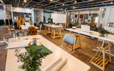 The Role of Indoor Plants in Improving Office Well-being and Productivity